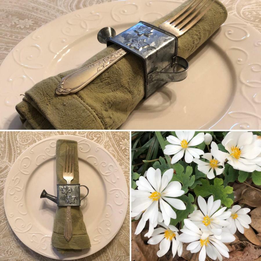 Clover Magnolia House & Gardens B&B المظهر الخارجي الصورة